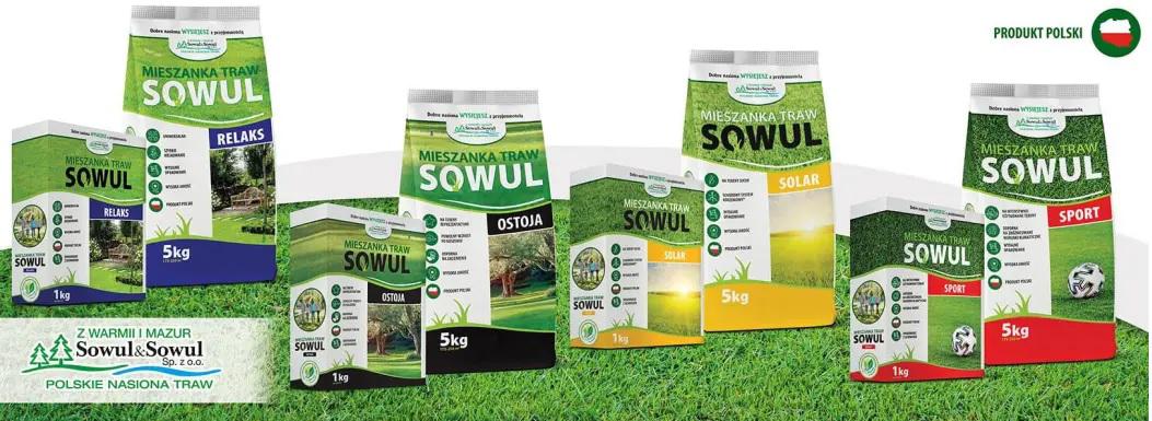 Trawa gazonowa — jakie są jej największe zalety?