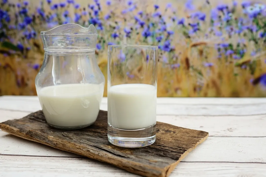 Colostrum — jaka dawka siary bydlęcej jest optymalna dla zdrowia?