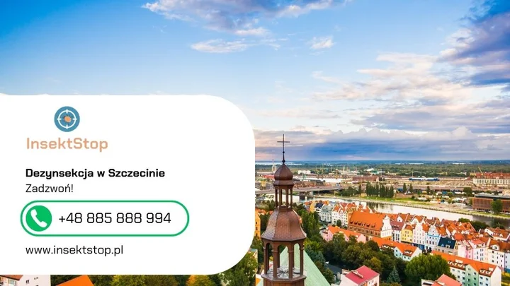 10-dezynsekcja-szczecin-insektstop-20250917095642.webp