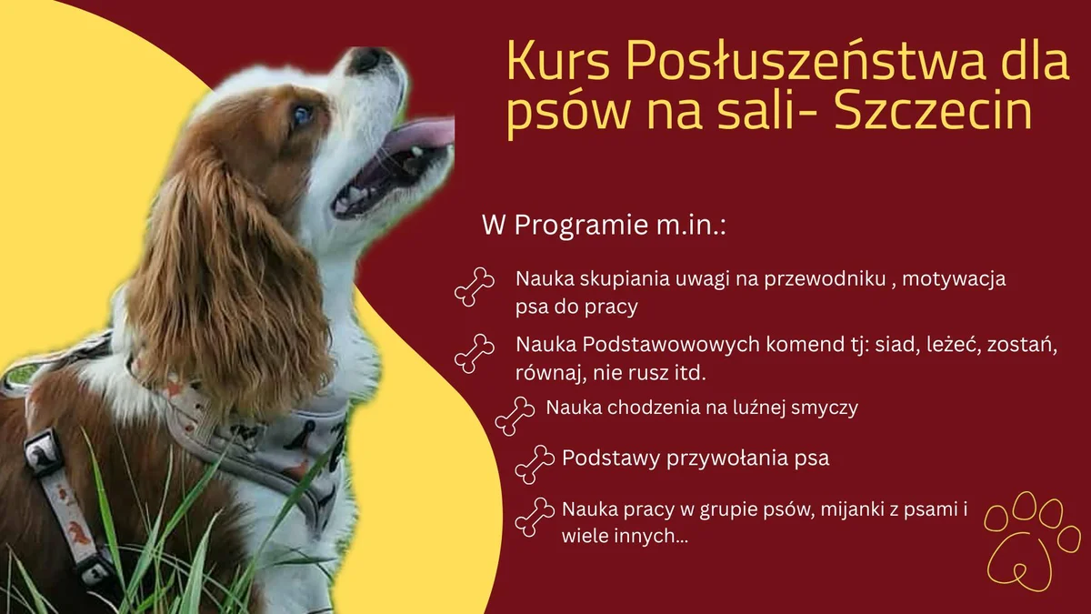 Grafika promocyjna wydarzenia Kurs Posłuszeństwa dla psów NA SALI — Szczecin