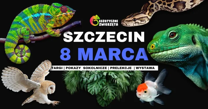 Grafika promocyjna wydarzenia SZCZECIN 8 MARCA — Egzotyczne Zwierzęta: terrarystyka, akwarystyka, pokazy i wystawy