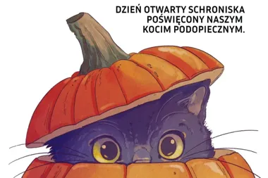 Grafika promocyjna wydarzenia Dzień otwarty schroniska poświęcony czarnym kotom