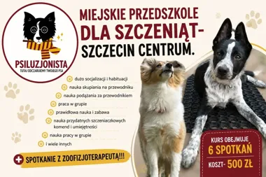 Grafika promocyjna wydarzenia Miejskie Przedszkole dla Szczeniąt w Szczecinie