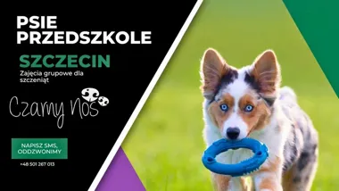 Grafika promocyjna wydarzenia PSIE PRZEDSZKOLE w Szczecinie: nabór do dodatkowej grupy dla szczeniąt