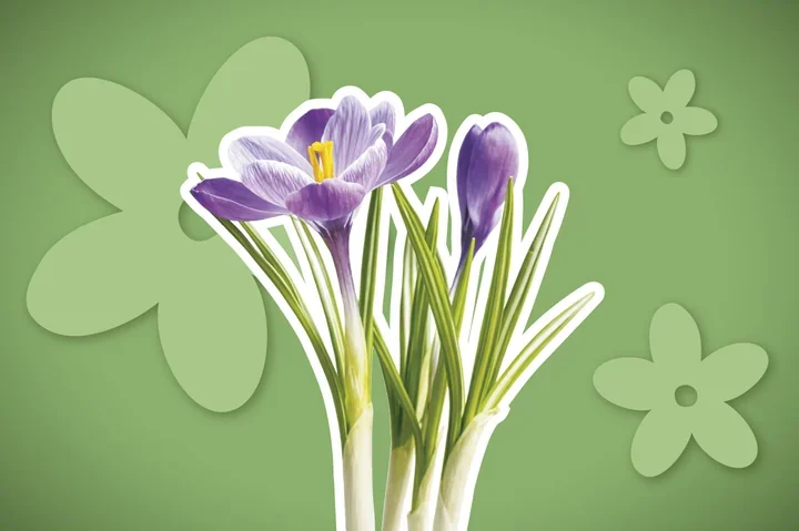 Witaj wiosno - całodniowe świętowanie rodzinne w GOKSiR z warsztatami i cyrkiem