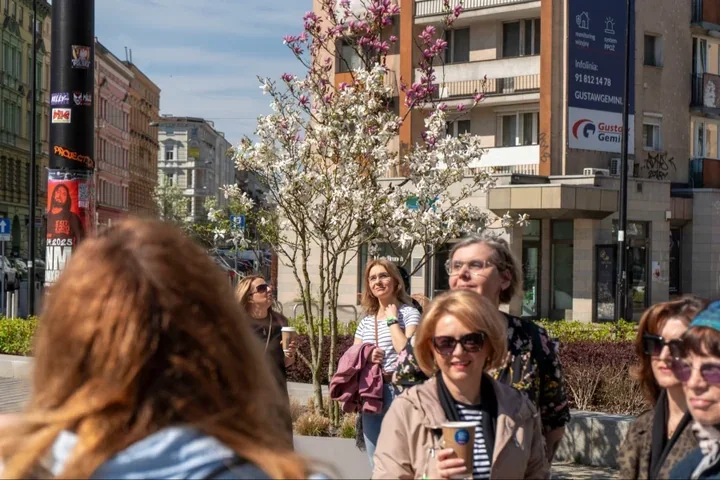 Magnolie rozkwitają, a niedzielny spacer odsłoni ich szczecińskie sekrety