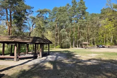 Majówka w lesie pod lupą. Za ognisko poza polaną grożą kłopoty