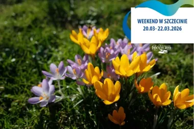 Szczecin wchodzi w wiosnę od targów, kotów i lidera Orlen Basket Ligi