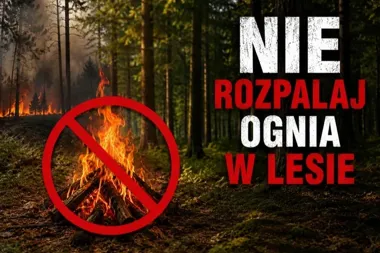 W szczecińskich lasach robi się niebezpiecznie. Jedna iskra może wywołać dramat