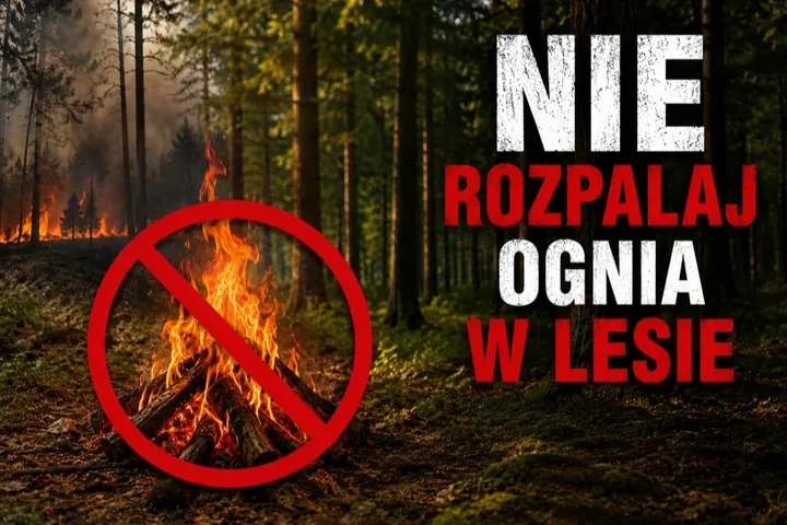 W szczecińskich lasach robi się niebezpiecznie. Jedna iskra może wywołać dramat