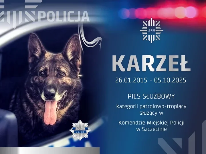 Psy, które tropią sprawców i ratują zaginionych, mają dziś swoje święto