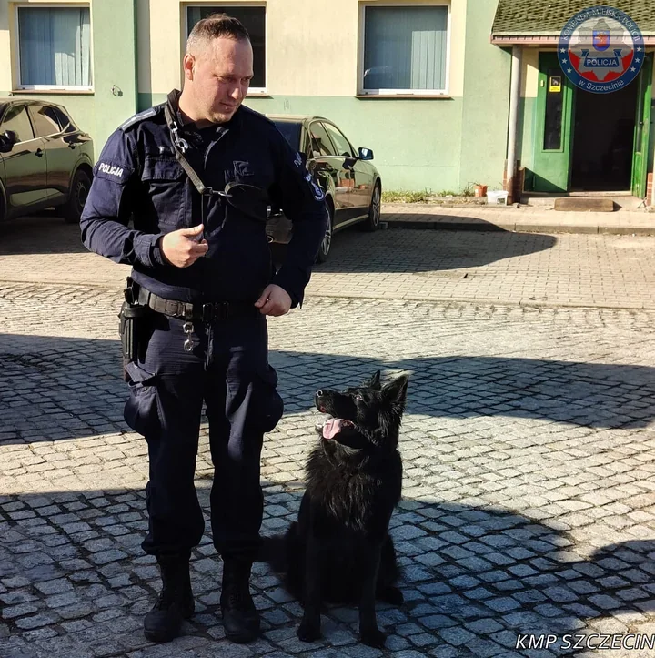 Policjanci i psy służbowe zrobili na pierwszakach ze Szczecina ogromne wrażenie