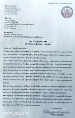Skradziona kotka wróciła po niemal trzech miesiącach. Pomógł dzielnicowy