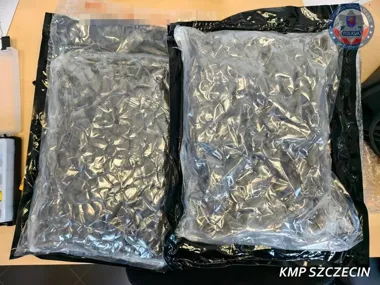 Szczecińscy policjanci ustalili trop. Ponad 2 kg suszu i areszt