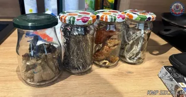Blisko 4 kilogramy narkotyków i amunicja - zatrzymany po wspólnej akcji służb