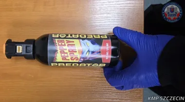 Gaz, pałka i fałszywa broń - nastolatkowie z Pogodna wpadli po serii ataków
