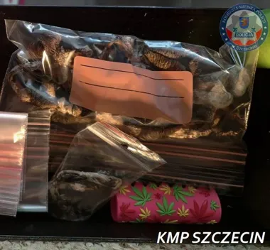 Mieszkanie jako plantacja - policja z Szczecina zabezpieczyła blisko 600 g narkotyków