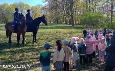 Policyjne konie skradły show w szczecińskim przedszkolu
