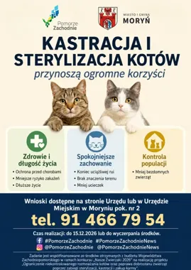 kot i pies na plakacie, informacja o sterylizacji i kastracji kotów w gminie Moryń