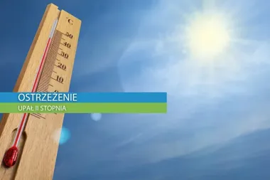 Łasztownia dostanie letni dojazd. Dwie linie ruszą w weekendy